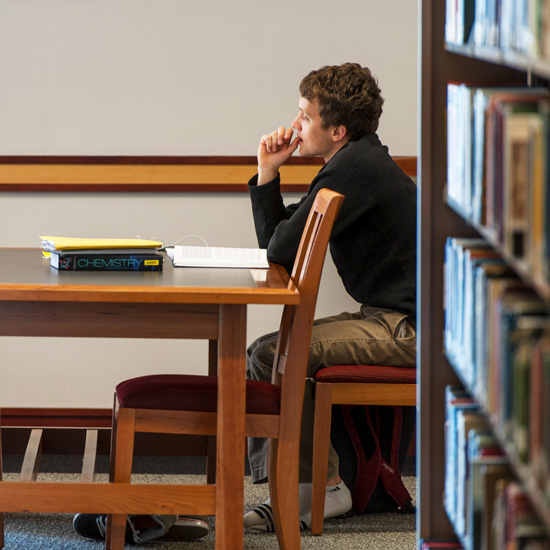 Male student studying in the library